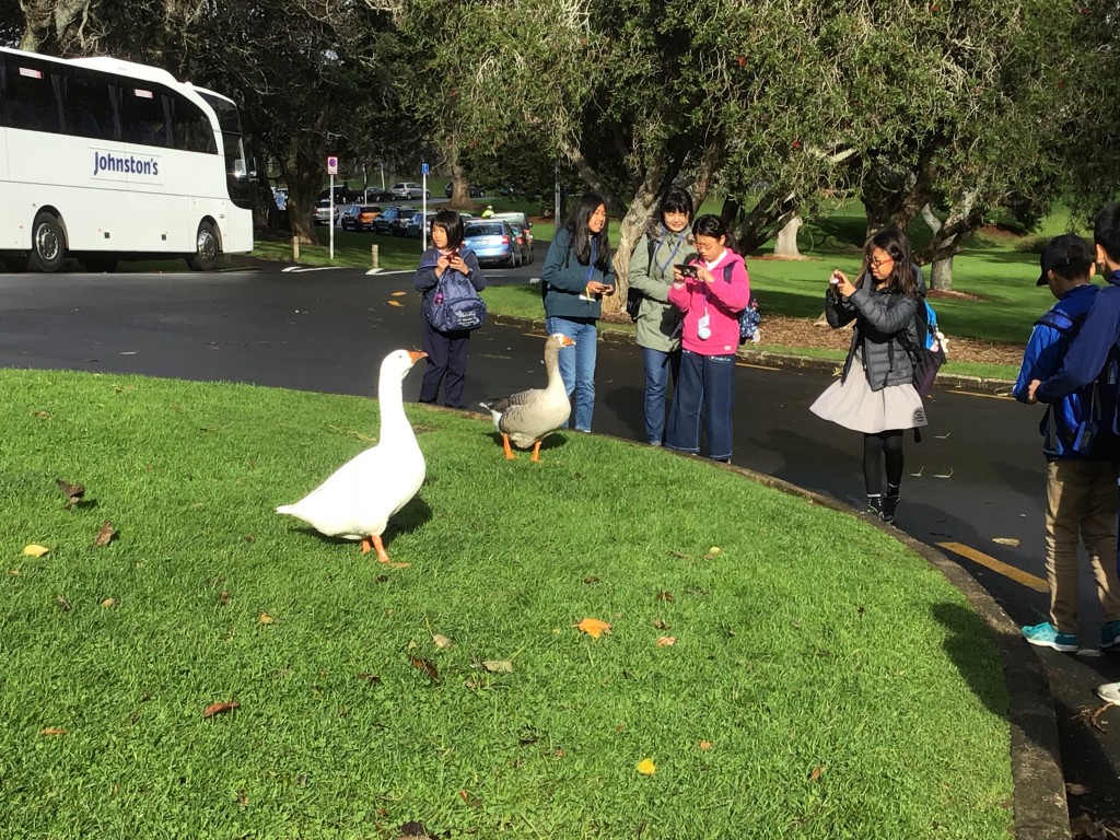 4A177CBC-49DC-450A-B492-D420B99CB822