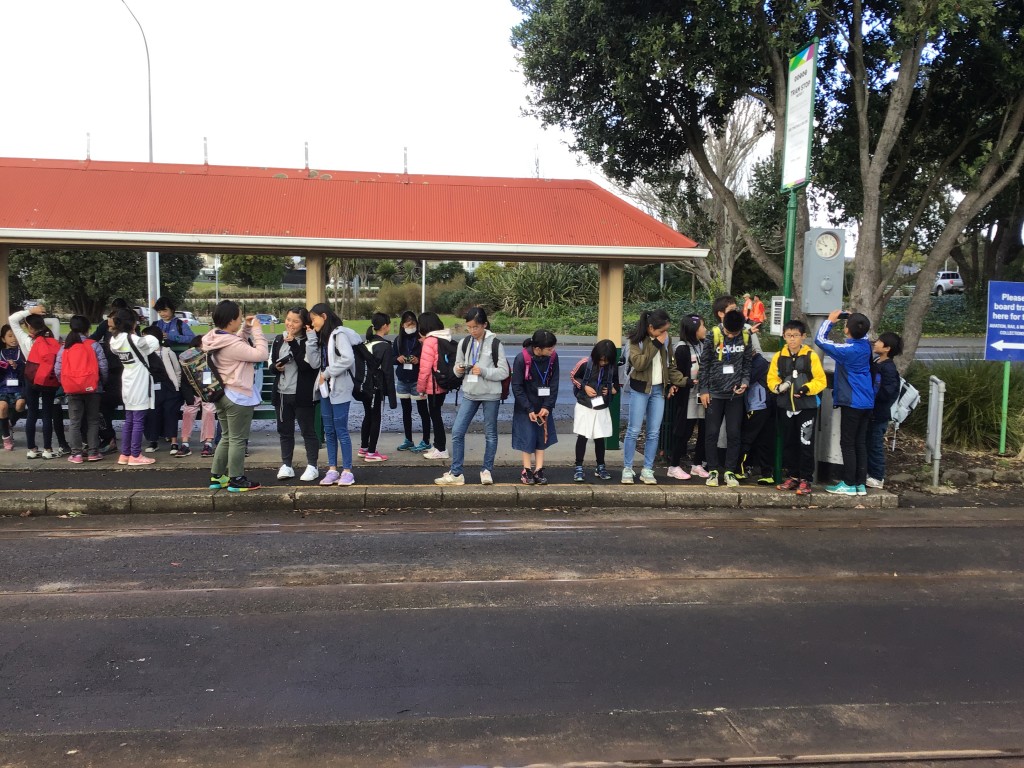 546688F1-A415-467D-A451-37533427F5BA