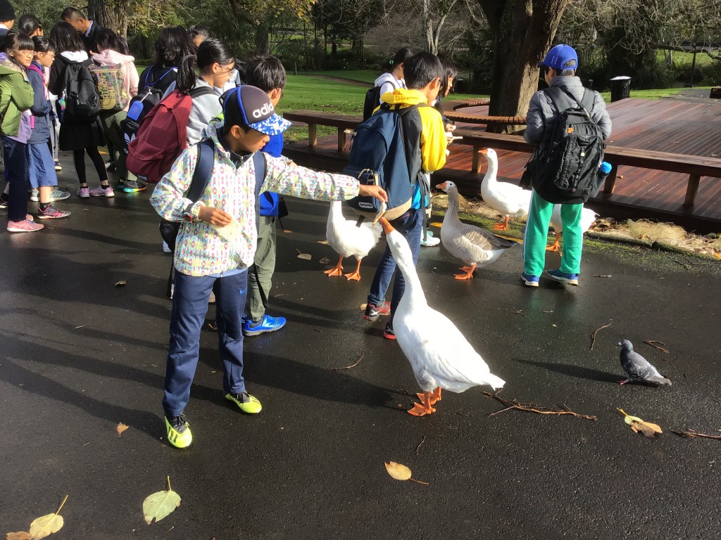 8824AD87-C15C-4F4B-8BEF-812BA76F2519